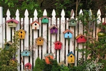 Ý tưởng trang trí hàng rào độc đáo