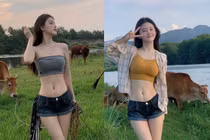 Đi chăn bò, hot girl xinh đẹp mặc ngắn cũn khoe dáng siêu nuột