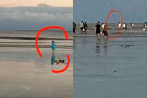 Đưa con gái đi biển chơi, cha hối hận cả đời vì điều này