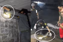 Đang thu thập thi thể, cảnh sát rợn người khi “quái thú” xuất hiện