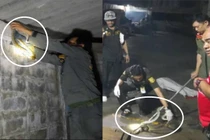 Đang thu thập thi thể, cảnh sát rợn người khi “quái thú” xuất hiện