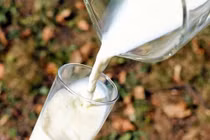 Con dâu dán giấy lên hộp sữa, mẹ chồng lộ âm mưu kinh hoàng