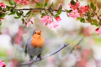 Người có giờ sinh này năm 2022 sẽ hiện thực hóa giấc mơ tỷ phú 