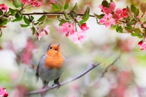 Người có giờ sinh này năm 2022 sẽ hiện thực hóa giấc mơ tỷ phú 