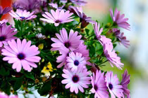 3 con giáp chăm chỉ làm ăn, tháng 4 phát tài giàu khủng khiếp 