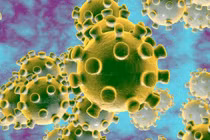 Nga sát Trung Quốc tại sao không lây nhiễm virus corona, câu trả lời gây choáng