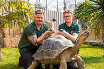 Rùa khổng lồ Galapagos làm cha ở tuổi 70