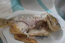 Ăn hết nửa con cá...bủn rủn thấy cảnh như trong phim kinh dị