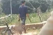 Muốn cưới bạn trai, thiếu nữ bị anh ruột sát hại gây sốc