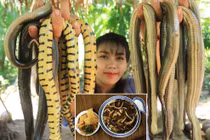 Rùng mình món súp rắn không dành cho người yếu tim 