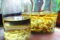 Rượu chuột con, đồ uống kinh dị người vững tim mới dám thử