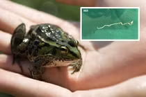 Co giật không rõ nguyên nhân, đi khám bác sĩ phát hiện chuyện ghê rợn