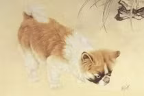 Trời xanh an bài, 3 con giáp đổi đời, mã đáo thành công 100 ngày tới 