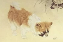 Trời xanh an bài, 3 con giáp đổi đời, mã đáo thành công 100 ngày tới 