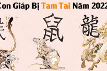 Từ 2022, 3 con giáp vướng hạn Tam Tai 3 năm liên tiếp, gì cũng bại 