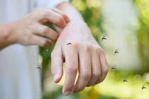 Đeo vật này trên người, chàng trai choáng váng khi không con muỗi nào dám đốt 