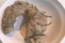 Mua lòng lợn về luộc, nôn thốc nôn tháo khi chế biến xong vì...