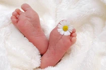 Căn nhà bốc mùi lạ, hàng xóm tò mò phát hiện điều kinh ngạc