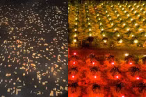 Du khách sửng sốt trước khung cảnh như cổ tích, sự thật là gì? 