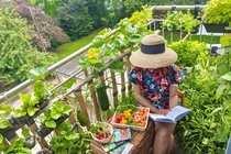 Vườn rau tươi tốt trên ban công nhỏ xíu 2,5m2 của mẹ Việt tại Pháp