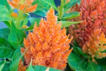 Người có giờ sinh này, làm việc chăm chỉ sẽ giàu có sau tuổi 30