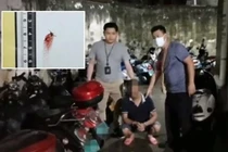 Đập chết muỗi khi đang làm điều này, người đàn ông nhận kết đắng