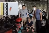 Đập chết muỗi khi đang làm điều này, người đàn ông nhận kết đắng