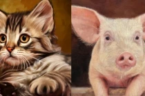 Bước qua ngày 1/3 âm lịch: 5 con giáp gặp thời đổi vận 