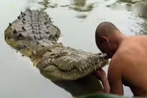 Kỳ lạ con cá sấu "ăn chay" sống hơn 70 năm trong ngôi đền ở Ấn Độ