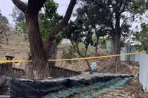 Rợn người bé sơ sinh bị bỏ lại ở nghĩa trang, nghi bị chó hoang cắn xé