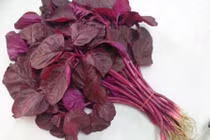 Những điều cấm kỵ khi ăn rau dền 