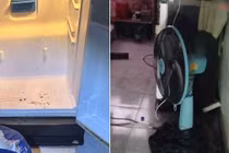 Thấy mùi hôi bốc ra từ tủ lạnh, phát hiện tội ác kinh hoàng