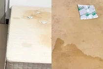 Thuê nhà dị ứng liên tục, lật đệm lên phát hiện điều kinh hoàng
