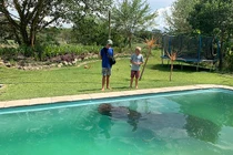 "Sốc" cảnh hà mã khổng lồ chiếm bể bơi, vô cùng thỏa mãn