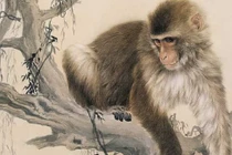 Tuần mới (8/3 - 14/3): Top 3 con giáp vận trình sáng như trăng rằm, giàu khủng 