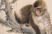 Tuần mới (8/3 - 14/3): Top 3 con giáp vận trình sáng như trăng rằm, giàu khủng 