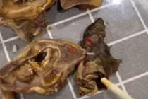 Đặt đồ ăn qua mạng, chàng trai sợ “vỡ mật” vì điều này