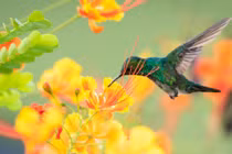 Những con giáp có bước ngoặt cuộc đời trong năm 2022