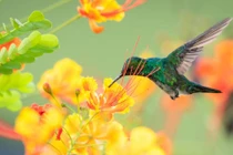 Những con giáp có bước ngoặt cuộc đời trong năm 2022