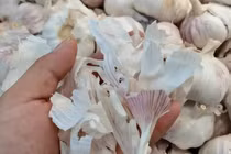 Bóc tỏi đừng vứt vỏ kẻo lãng phí “kho báu” công dụng tuyệt vời 