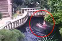 Người giúp việc biến mất bí ẩn và sự thật đau lòng 