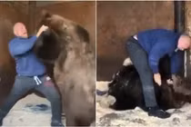 Võ sĩ đấu tay đôi với gấu nâu khổng lồ đầy kịch tính