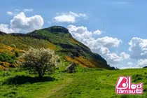 Rùng mình phát hiện 17 con búp bê nằm trong quan tài bí ẩn