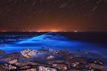 Điểm những sự thật gây sốc về thế giới tự nhiên (1)