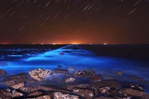 Điểm những sự thật gây sốc về thế giới tự nhiên (1)