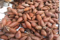 Quả lạ Mây Thái bán tràn lan trên phố HN hét giá 150 ngàn/kg