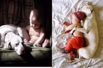 Chú chó bị ngược đãi thảm hại và màn gặp gỡ định mệnh