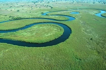 Tuyệt sắc Đồng bằng Okavango với hàng ngàn loài động thực vật