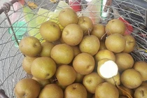 Tràn lan mắc cọp giá rẻ Trung Quốc gắn mác Cao Bằng 