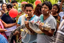 Kỳ quặc đám cưới của Thị trưởng Mexico và cá sấu 